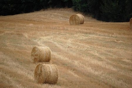 paesaggio toscano