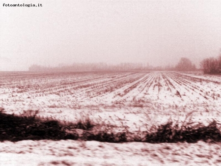 Neve in campagna