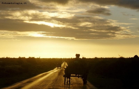 verso il tramonto