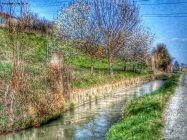 Prossima Foto: Canale d'irrigazione. Fr. Podio di Benevagienna. 