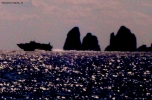 Prossima Foto: Capri i faraglioni