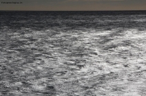 Foto Precedente: ..brezza sul mare..