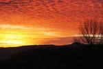 Foto Precedente: orange sky