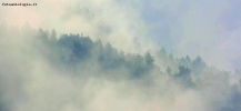 Prossima Foto: nebbia montana