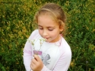 Foto Precedente: un fiore dalla Romania