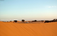 Prossima Foto: deserto dell'adrar, villaggio di pastori nomadi