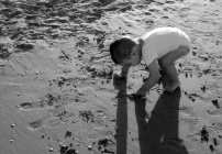 Tesori tra la sabbia