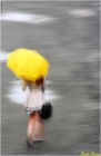 Prossima Foto: La Ragazza con l'ombrello giallo