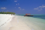 Foto Precedente: Zanzibar 2010