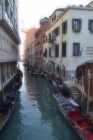 Foto Precedente: Venezia 2012