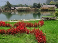Prossima Foto: archeopark in vallecamonica