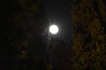 Prossima Foto: Full moon