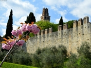 Prossima Foto: Collalto ~Treviso~