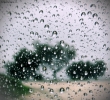 Prossima Foto: In giorni di pioggia