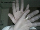 Prossima Foto: mani....le mie