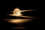 Prossima Foto: Moonlight Shadow