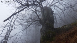 Foto Precedente: spiriti nella nebbia