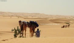 Prossima Foto: si parte per il deserto dell 'Adrar