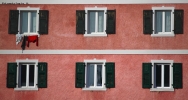 Foto Precedente: le finestre di una volta 