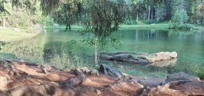 Foto Precedente: lago dei Caprioli 
