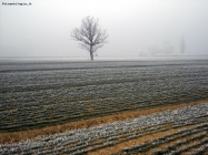 Prossima Foto: Nebbia e neve