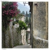 Prossima Foto: Vicoli di Monteggiori - Versilia Bella