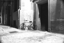 Foto Precedente: La Bicicletta !
