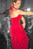 Prossima Foto: Rosso Flamenco