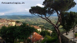 panorama da via S Margherita a Cortona