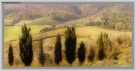 Prossima Foto: verso San Gimignano