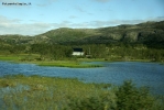 Prossima Foto: Norvegia