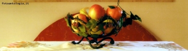 Prossima Foto: Canestra di frutta