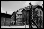 Prossima Foto: Auschwitz