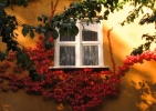 Foto Precedente: colori d'autunno