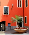 Foto Precedente: Colori di Liguria
