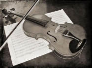 Prossima Foto: Il Violino
