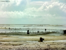 Foto Precedente: bassa marea