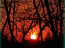 Foto Precedente: tramonto dietro casa
