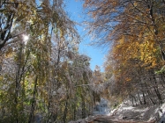 Prossima Foto: Neve sui colori d'autunno
