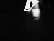 Foto Precedente: shadow