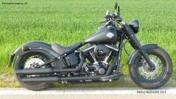 Prossima Foto: Harley Davidson Softail Slim