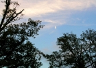 Prossima Foto: Il cielo e la luna