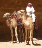 Prossima Foto: Cammelliere a Petra