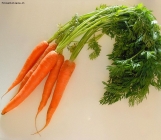 Prossima Foto: carote fresche appena raccolte