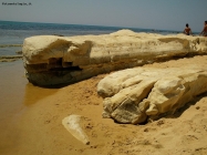 Prossima Foto: Sicilia - Formazioni calcaree in spiaggia