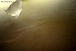 Foto Precedente: ghiaccio e luce..