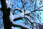 Foto Precedente: Legno, neve e cielo-