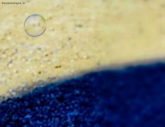 Prossima Foto: ombra della bolla