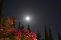 Prossima Foto: Full moon