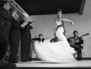 Foto Precedente: Flamenco 1